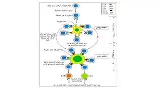 22 مصدر اللمفاويات السامة