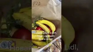 Германия пакет сюрприз Lidl 3&euro;
