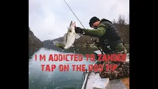 I`m addicted to zander tap on the rod tip....