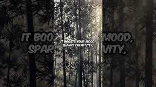 🌳 Секрет природы для снятия стресса (вам это НУЖНО!)