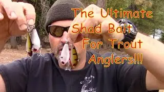 Do You Have Speed Shad?