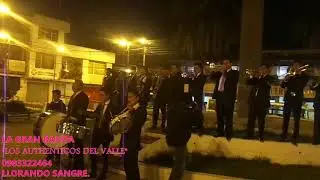 LA GRAN BANDA LOS AUTHENTICOS DEL VALLE. 0983322464