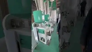 40TPD Rice Milling Line | Tailor-Made for Efficiency and High-Performance #ricemillingequipment