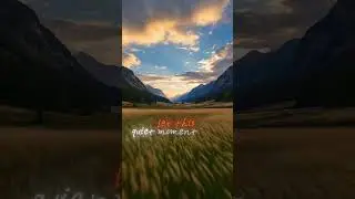 Renv&eacute; &ndash; Bliss Happens Here | A Gentle Song for Peaceful Moments