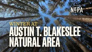 Winter at Austin T. Blakeslee Natural Area | Blakeslee, PA