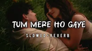Tum Mere Ho Gaye (Slowed + Reverb) | Romantic Bollywood Love Song | Lofi Night Vibes