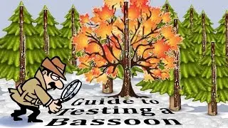 GUIDE TO TESTING A BASSOON BEFORE BUYING