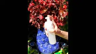 Green Virgin Products Foaming Pump Dispenser