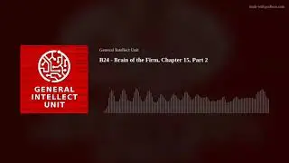 B24 - Brain of the Firm, Chapter 15, Part 2