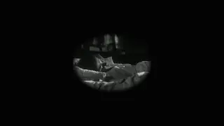 Phil Young - We Put the Moon Up