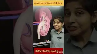 Mind-Blowing Kidney Facts You Never Knew!