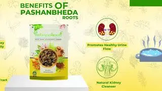 Benefit and uses of  pashanbheda