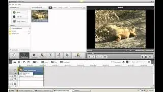 AVS Video Editor Help-Tutorial-Previewing and Trimming