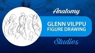 Anatomy and Figure Drawing Studies: Glenn Vilppu