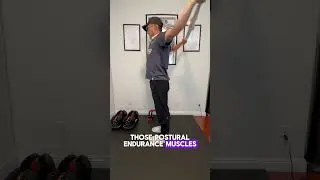 The ultimate gaming break (full body stretch and recovery)