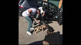 Loochie Money - Jail Freestyle [CMG HIGHRISK] Free All Da Sphillerz