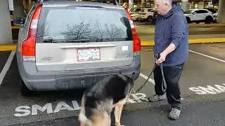 2 A BOY AND HIS DOG  Bomb Detection and Focus Training