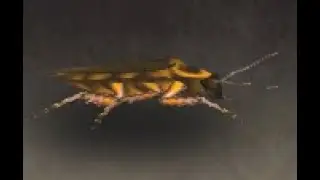 Outland Safari: Tainted Cockroach Battle Pet, Shadowmoon Valley, WoW Retail
