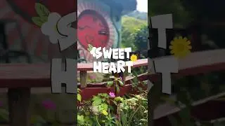 Sweetheart Hobbit 2025 @ B-Inspired Abode & Hobbit Kundasang