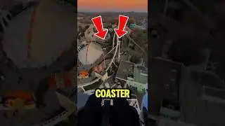 Why Does Your Stomach Drop on Roller Coasters? 🎢😵 #weirdscience