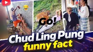 Chud Ling Pung Funny Fact 🐸 No : 01  Comedy Videos | Memes 
