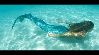 Fin Fun Mermaid Order + MORE!! / first video!! :)