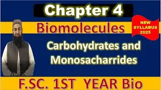 Carbohydrate and Monosacharrides