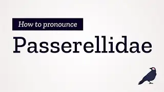 How to Pronounce Passerellidae