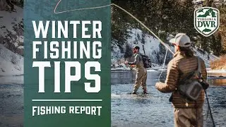 DWR Fishing Report: Winter Fishing in Virginia
