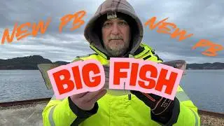New Youtube Species and a new PB