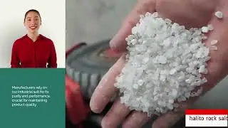 Biggest Industrial salt supplier in Iran