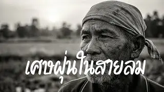 เศษฝุ่นในสายลม