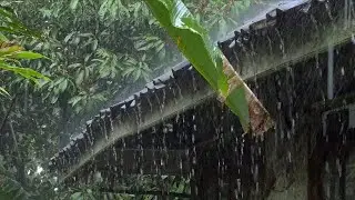 Heavy Rain Sounds 🌧️ Sleep Fast, Deep Focus & Calm Meditation