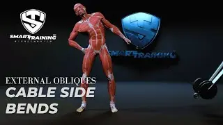 External Obliques: Cable Side Bends | BRIG20 Video Sample #DougBrignole #SmartTraining365