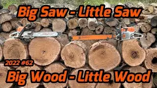 Firewood - Swing Saw, Stacking, Splitting, Bucking - 2022 #62