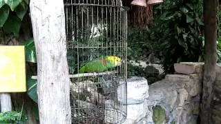 Crococun Zoo in Mexico