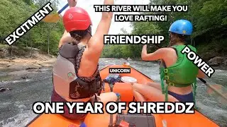 One Year of Shreddy Bettyz : We Love to Shred