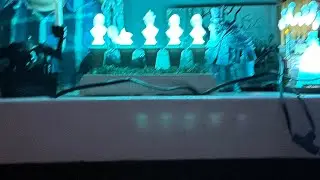 Haunted Mansion  light,sound and motion interactive scene complete set 2025. #horror #disney 