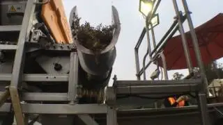 Computer Assisted Grape Sorting