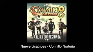 Nueve cicatrices - Colmillo Norte&ntilde;o