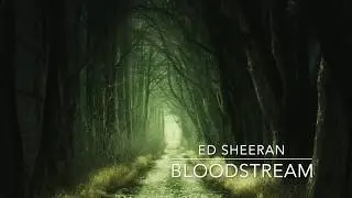 Ed Sheeran - Bloodstream | 8D Music