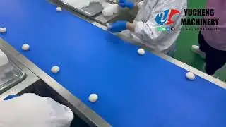 Full Automatic Mochi Production Line