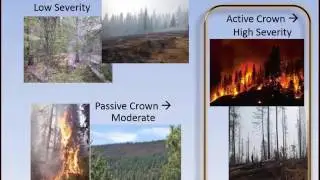 Assessing Fire Risks and Benefits at the Incident Level