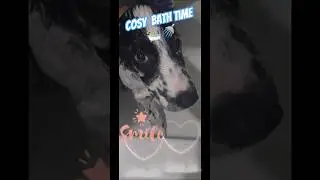 Cosy bath🩳🧼🛀#trending #puppy #grooming #SHORTS #babybath #shorts #reels #comedy #babyASMR #hilarious