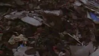 Street Pollution