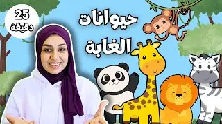Животные джунглей для детей 🦁🐻🦊🐯🐵🐺 - Звуки животных - Мисс Пино