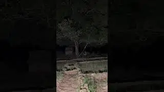 Real Paranormal Activity Caught on Camera 👻 | You Won&rsquo;t Believe This Footage!