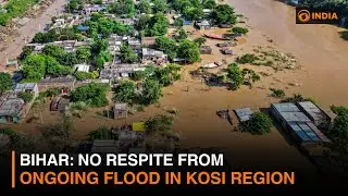 Bihar: No Respite from Ongoing Flood in Kosi Region | DD India