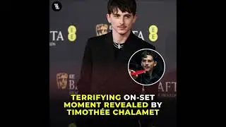 Тимоти Шаламе рассказал об ужасающем моменте на съемочной площадке фильма &laquo;Марти Суприм&raquo;.