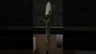 LARP staff
